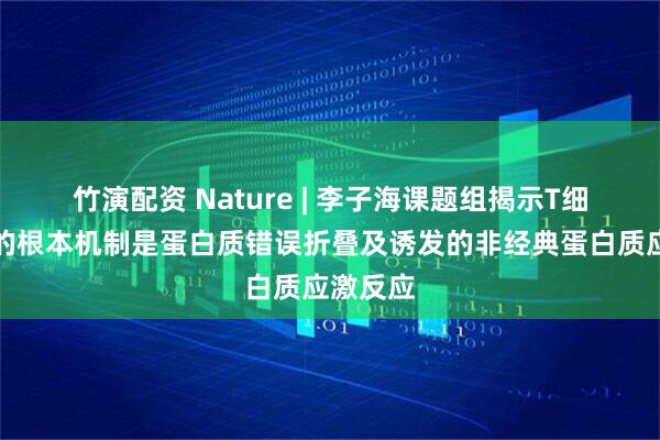 竹演配资 Nature | 李子海课题组揭示T细胞耗竭的根本机制是蛋白质错误折叠及诱发的非经典蛋白质应激反应