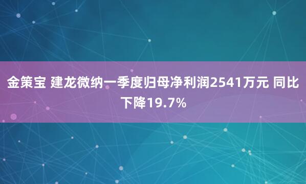 金策宝 建龙微纳一季度归母净利润2541万元 同比下降19.7%